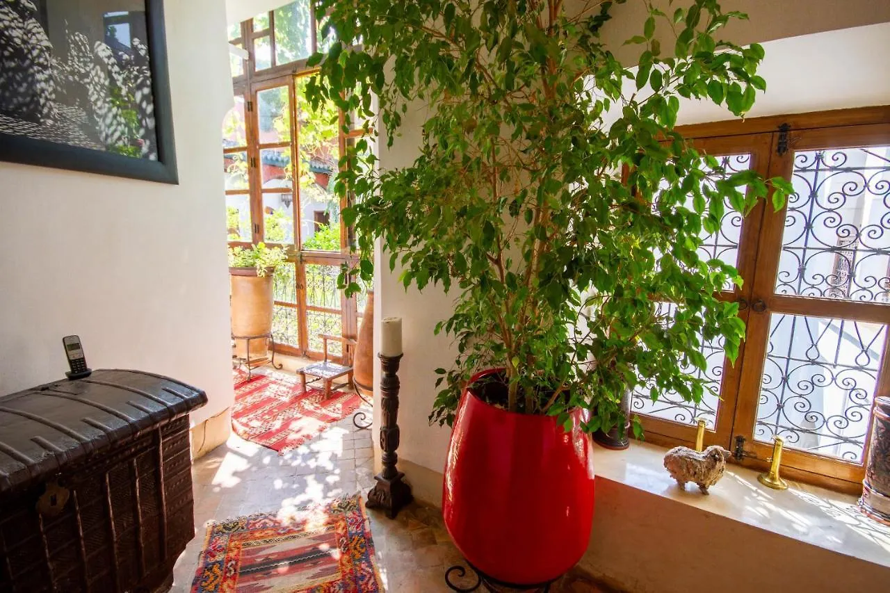 ***  Riad Dombaraka Marrakesh Morocco