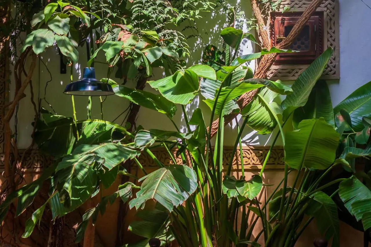 ***  Riad Dombaraka Marrakesh Morocco